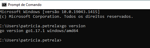 go-installed